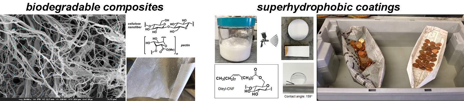 nanoporous membranes